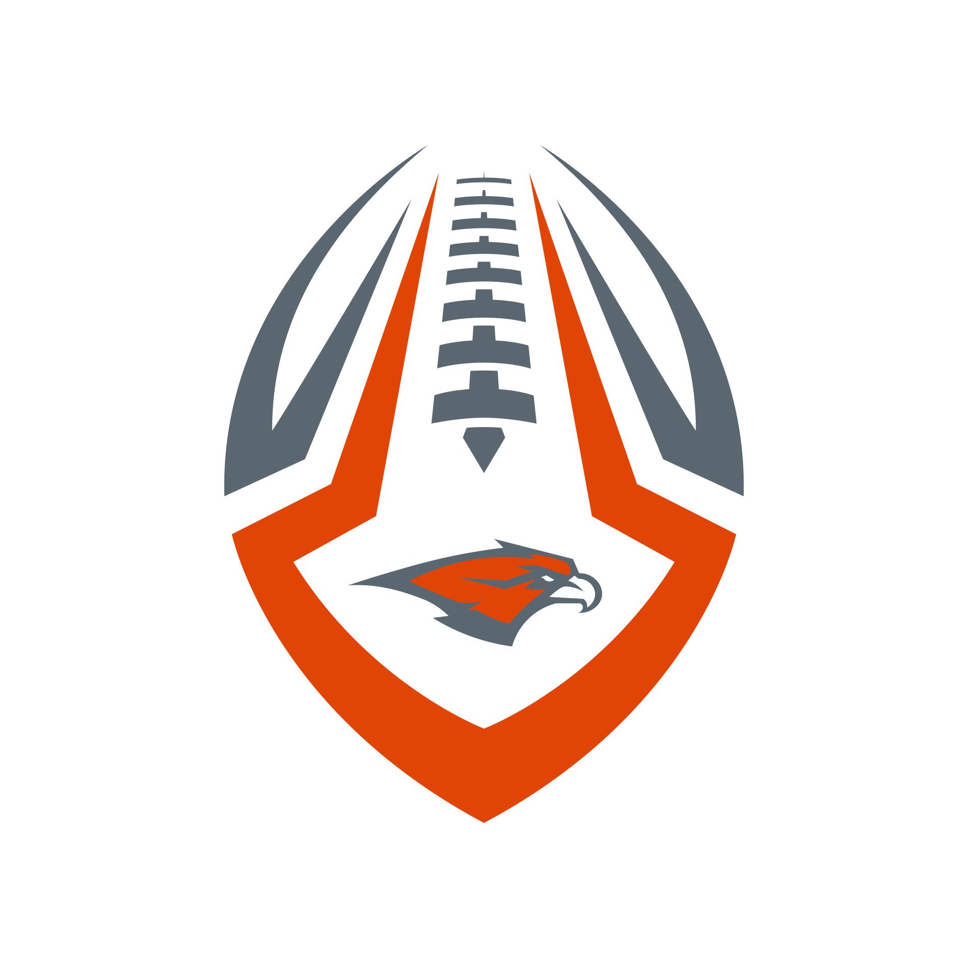 Skyridge Youth Football